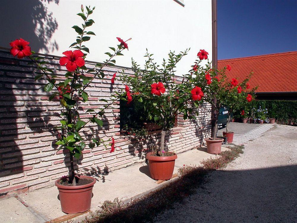 Heviz Therme Apartmenthaus Εξωτερικό φωτογραφία
